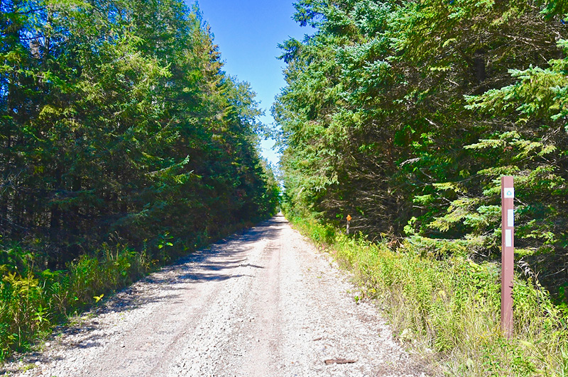St Ignace to Trout Lake Trail